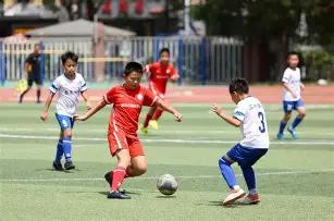 第十四届全,国冬运会火,炬传递启幕,世界杯预测,2026世界杯,赛事趋势分析,球队表现,预测模型